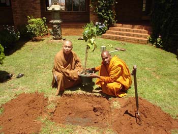 2005.11.08 - The Bodhi sapling planting at African Buddhist seminary in RSA..jpg